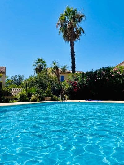Looking across the pool to the palm and the oleander behind it